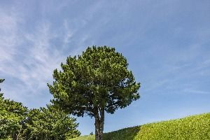 [제주올레 16코스] 고내-광령 올레