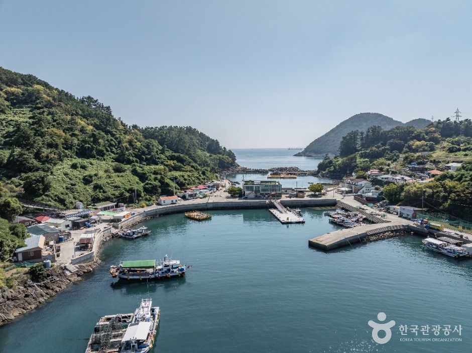 鳥島