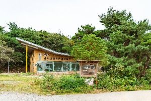 단호박올리고마을 사진 3
