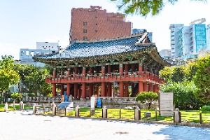 3568323 image3 1 예스키즈존 탐험대 : 실패 없는 육아여행