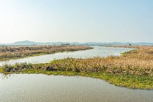 산이반도 사진 2