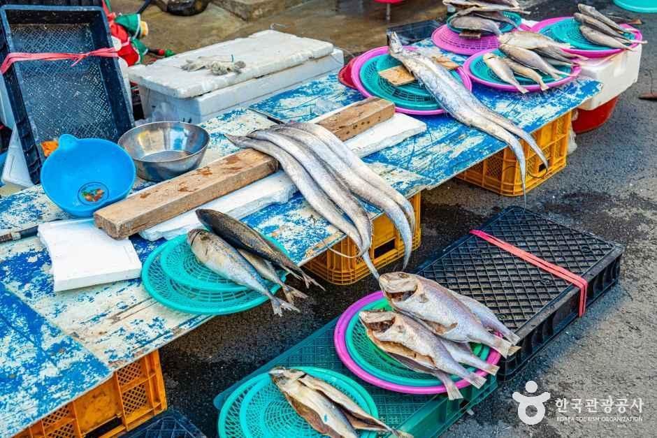 완도_완도장 (5, 10일) (2).jpg