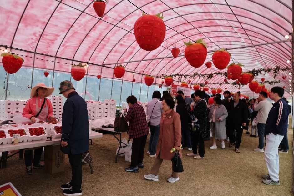 2026 논산딸기축제 (8).JPG