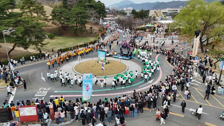 2026 고령 대가야축제 (15).JPG