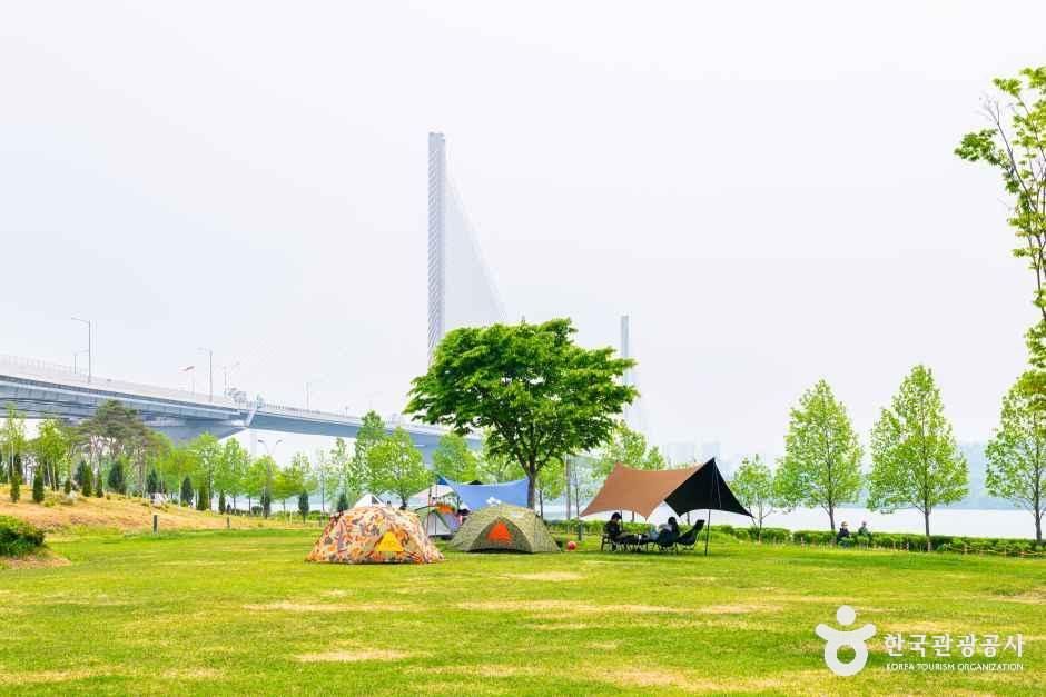 경기_구리_구리한강시민공원(코스모스공원)_외부_6.jpg