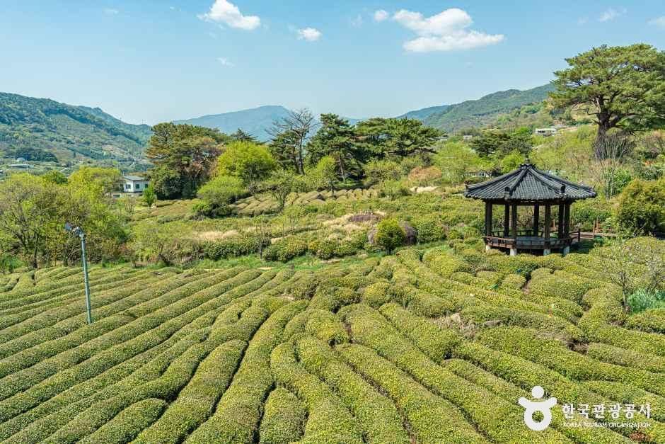 한밭제다