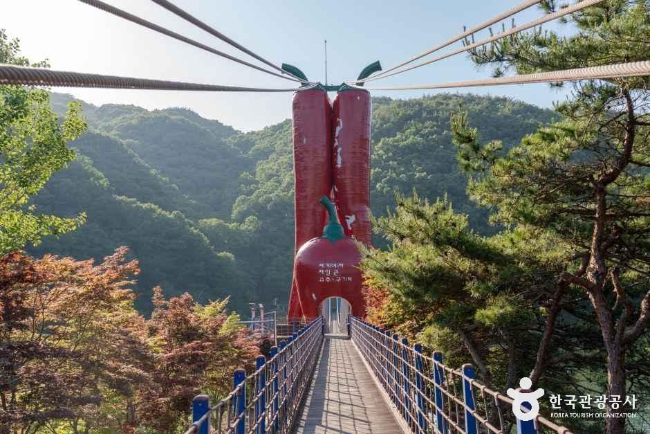 천장호 출렁다리