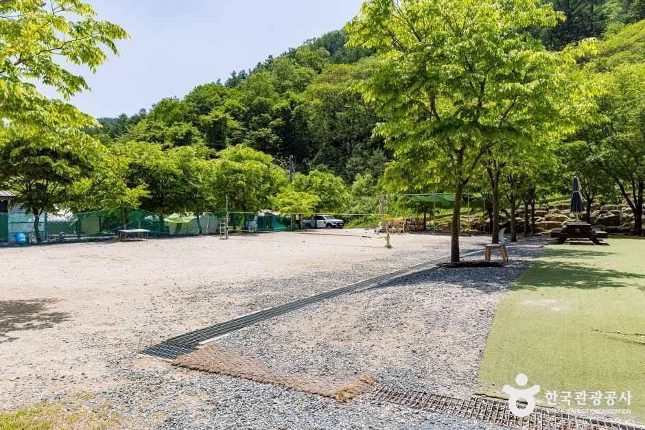 옥전캠핑장