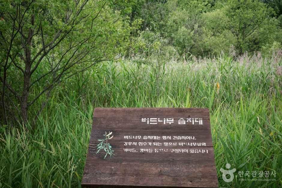 인천_계양_경인아라뱃길귤현나루_외부_8.jpg
