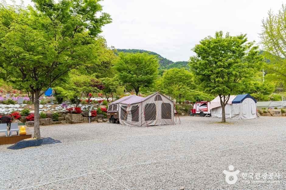 괴산 도명산 오토캠핑장