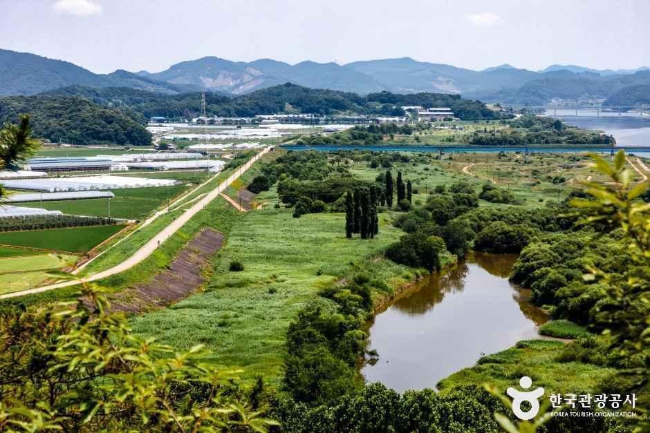 천정대