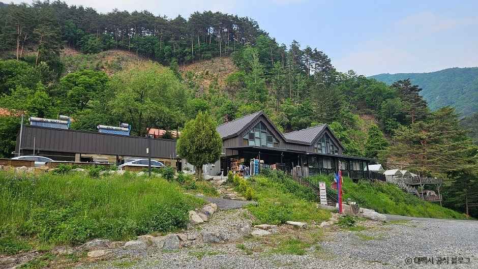 Taebaekgumunsohilringkaempeu