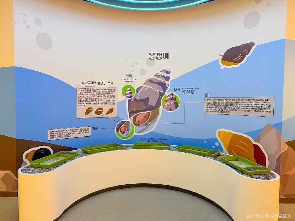 괴강토종어류체험관