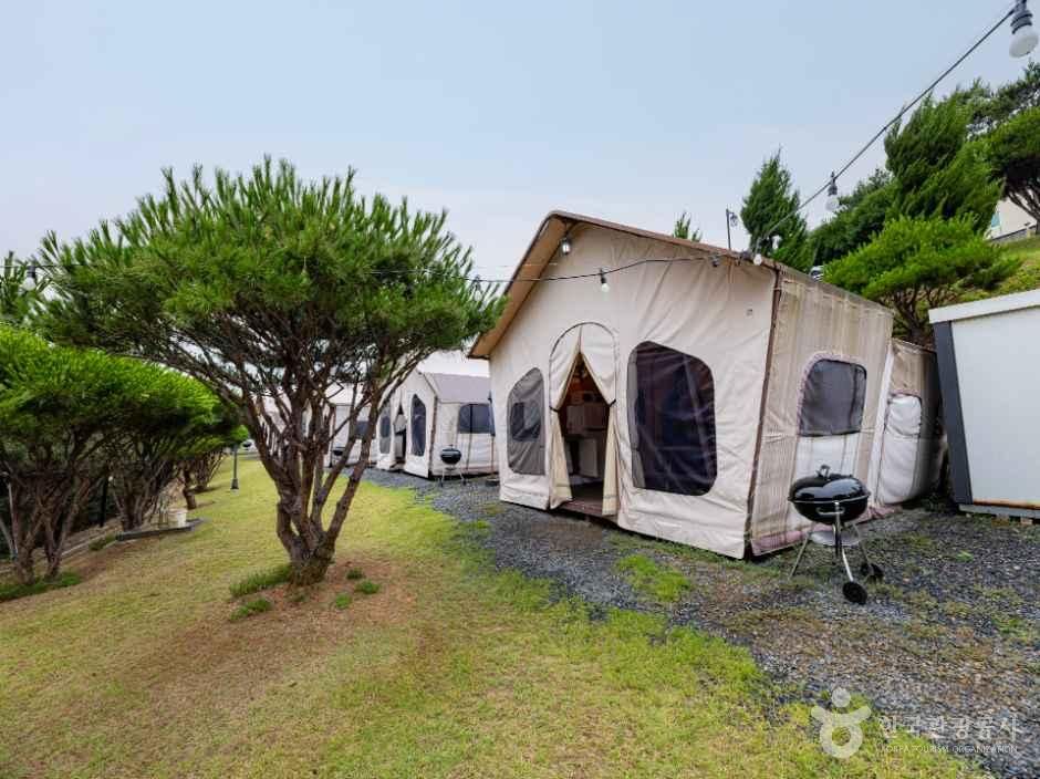 더반 힐 글램핑 사진 3
