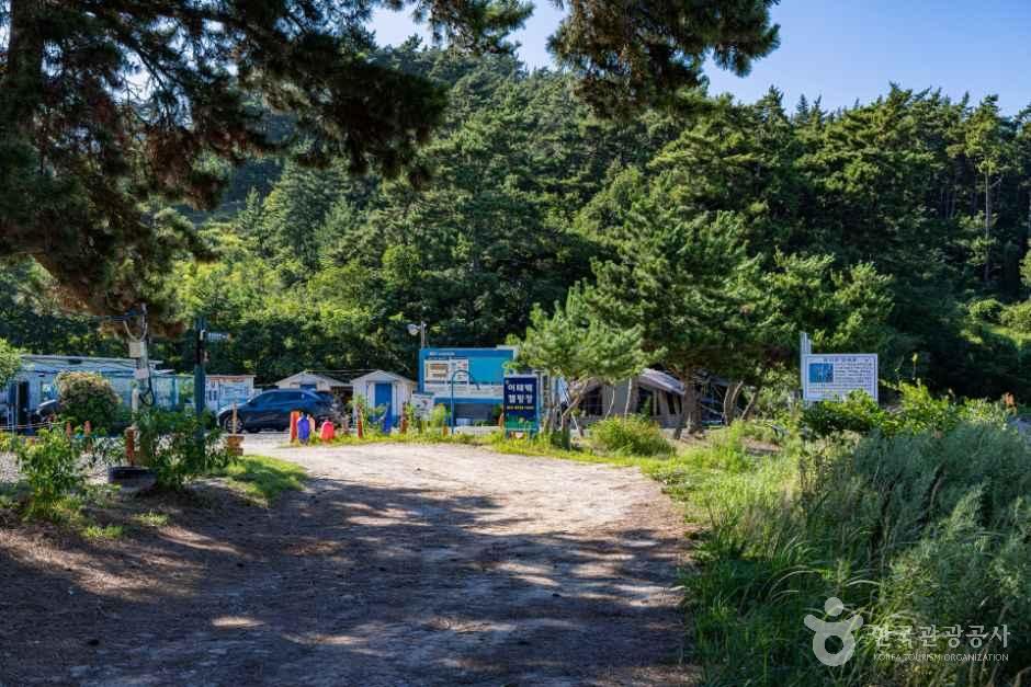 이태백캠핑장