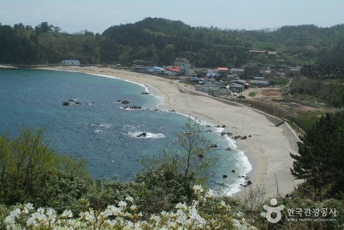 장호해변 장호해변