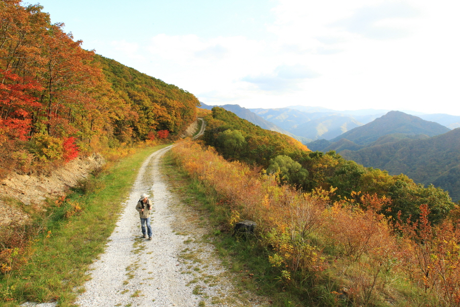 High1 Sky Road Trekking