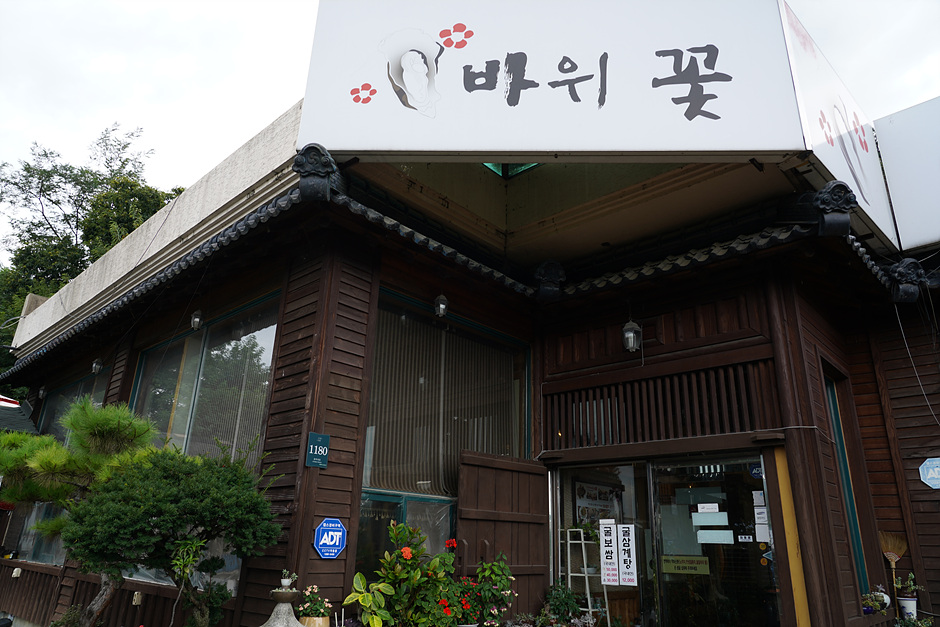 岩花
