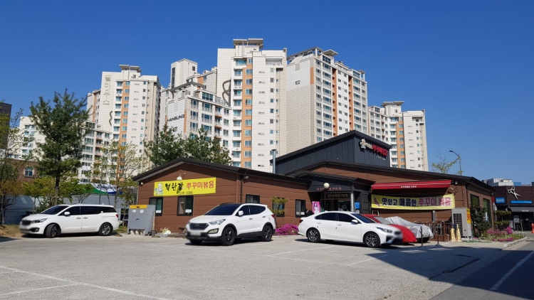 北汉江章鱼