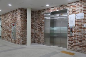 메모리 사진 6
