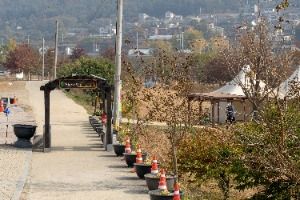 [평화누리길 9코스] 율곡길