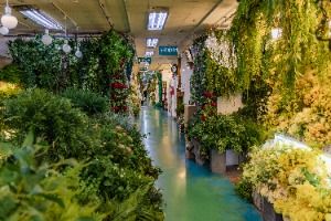 서울고속버스터미널 꽃도매상가