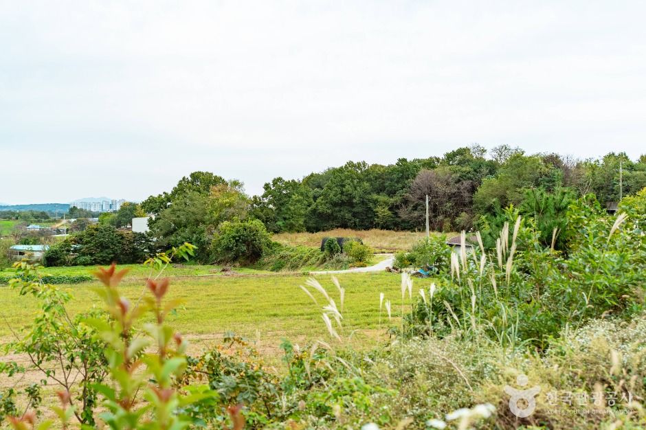 Danhobak Oligo Village
