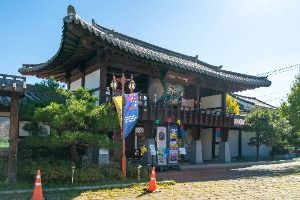 3569924 image3 1 예스키즈존 탐험대 : 실패 없는 육아여행