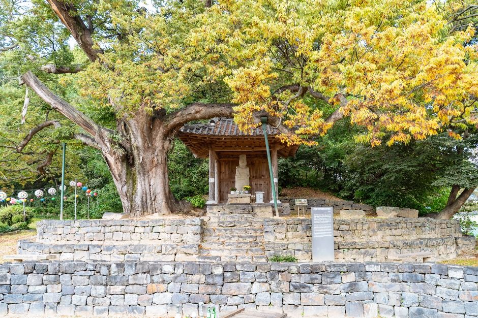 증평 미암리 석조관음보살입상