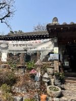 국화정원 사진 2