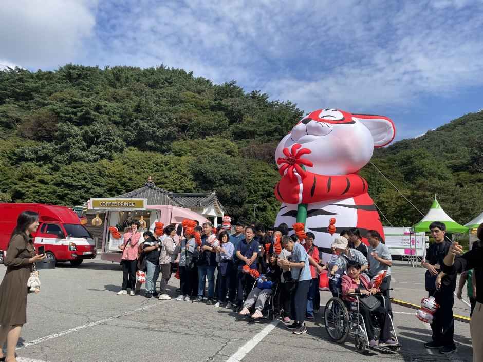 2026 영광불갑산상사화축제 (6).jpg