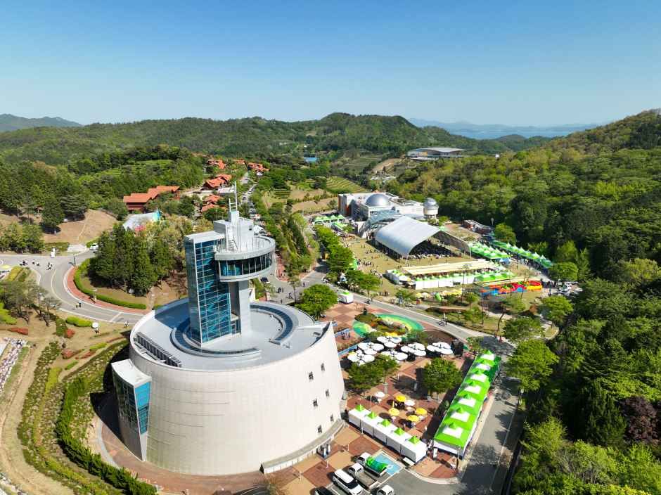 Festival del Té Verde de Boseong (보성다향대축제)