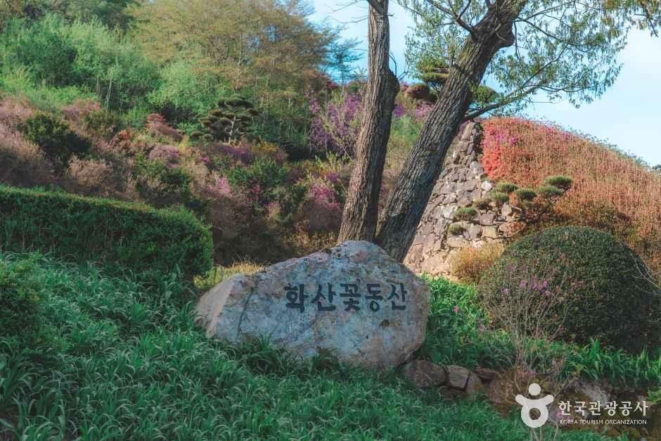 완주 화산꽃동산