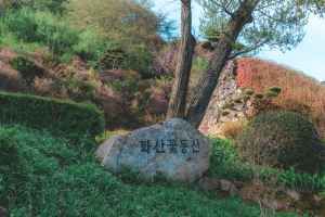 완주 화산꽃동산