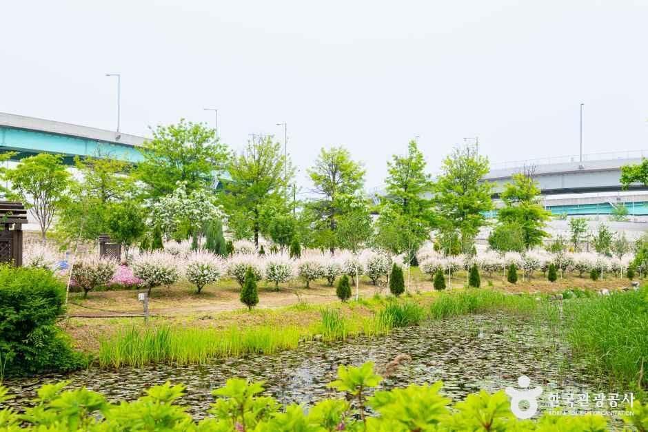 경기_구리_구리한강시민공원(코스모스공원)_외부_7.jpg