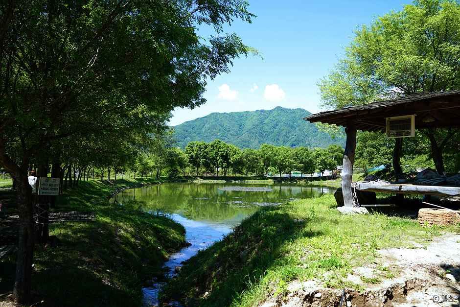柳村里破虏湖榆树村