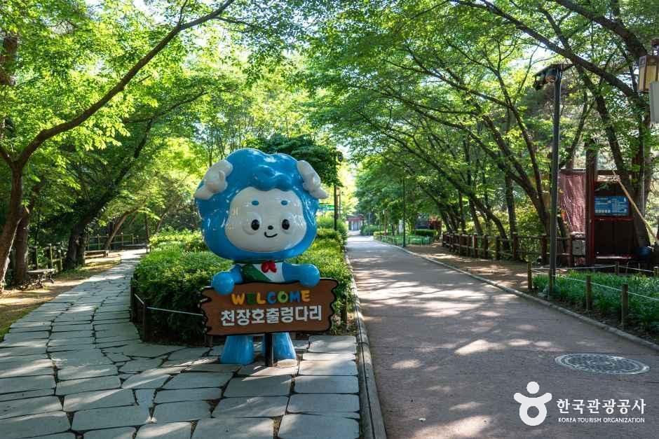 천장호 출렁다리