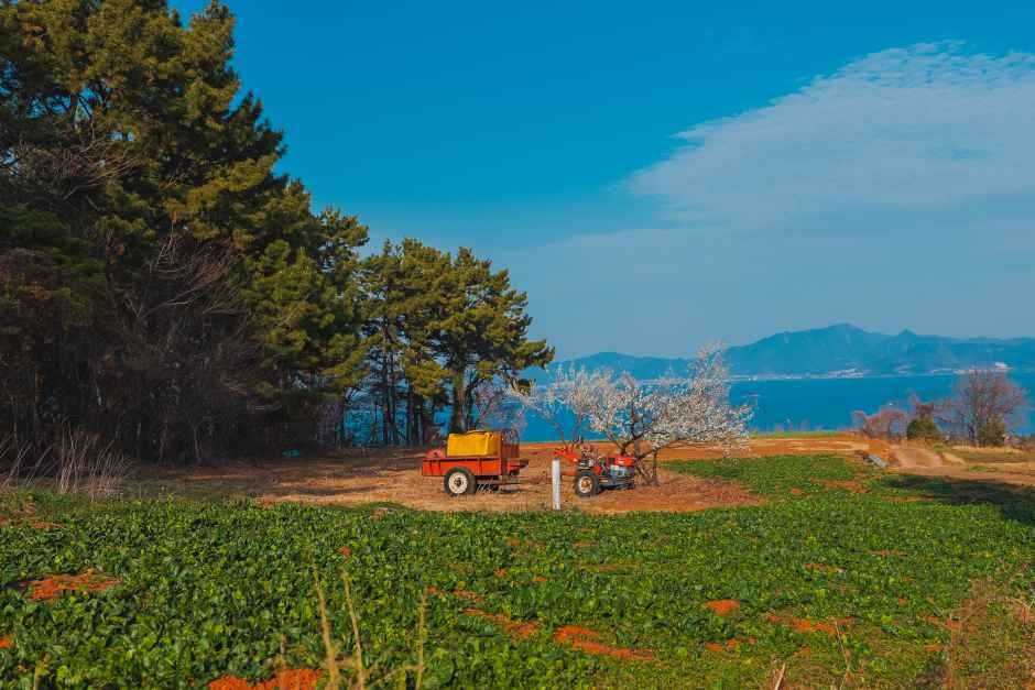 [남해바래길 15코스] 구두산목장길