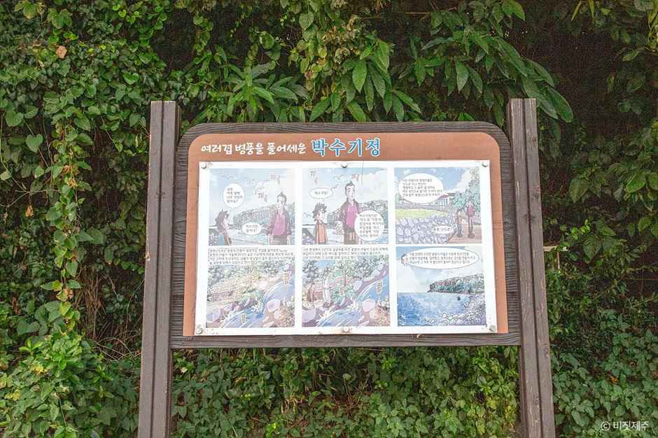 박수기정