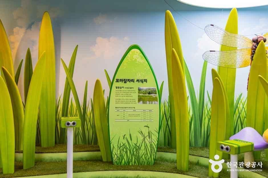 전남광주통합특별시_곡성_섬진강기차마을생태학습관_내부_2.jpg
