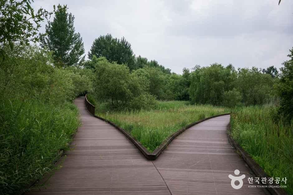 인천_계양_경인아라뱃길귤현나루_외부_10.jpg