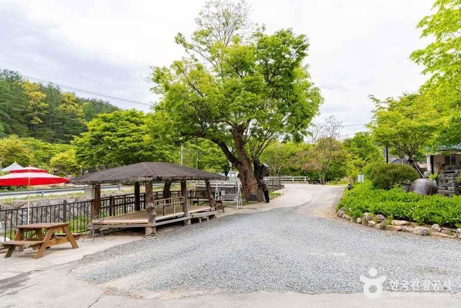 괴산 도명산 오토캠핑장