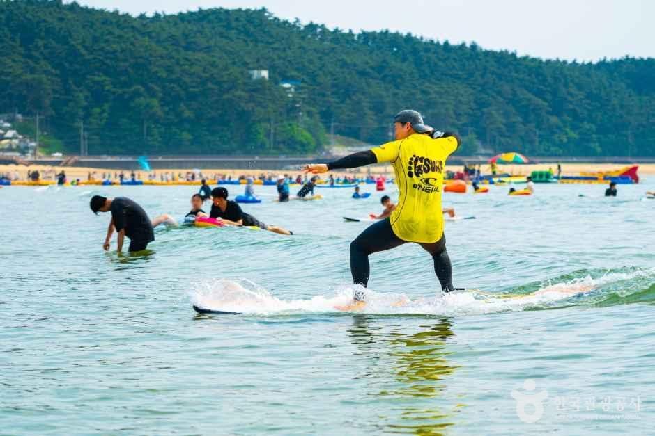 엠엘피서프