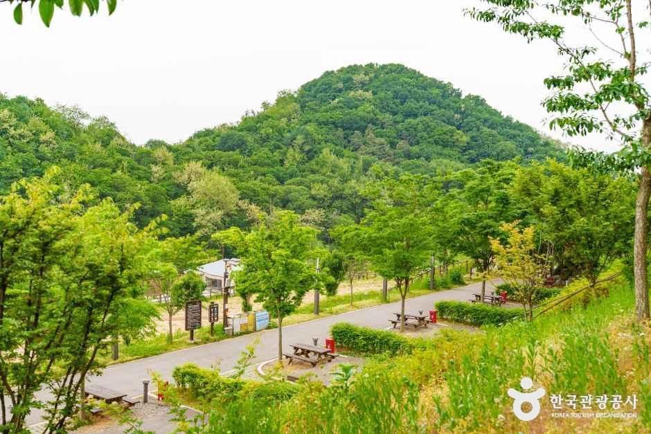 천왕산 가족캠핑장