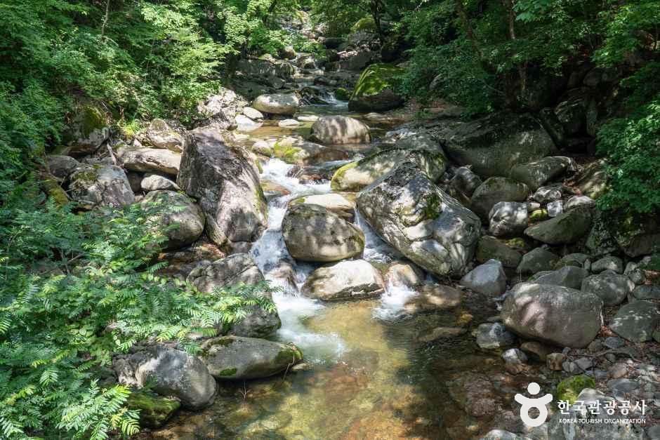 해인사(합천)