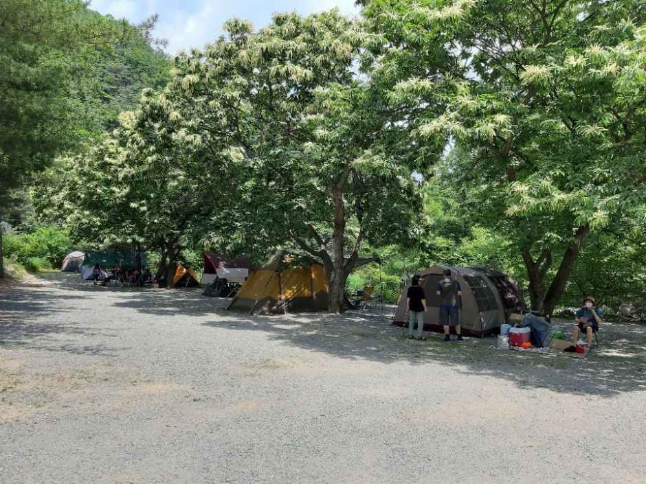 가평_별천지야영장 (2).jpg