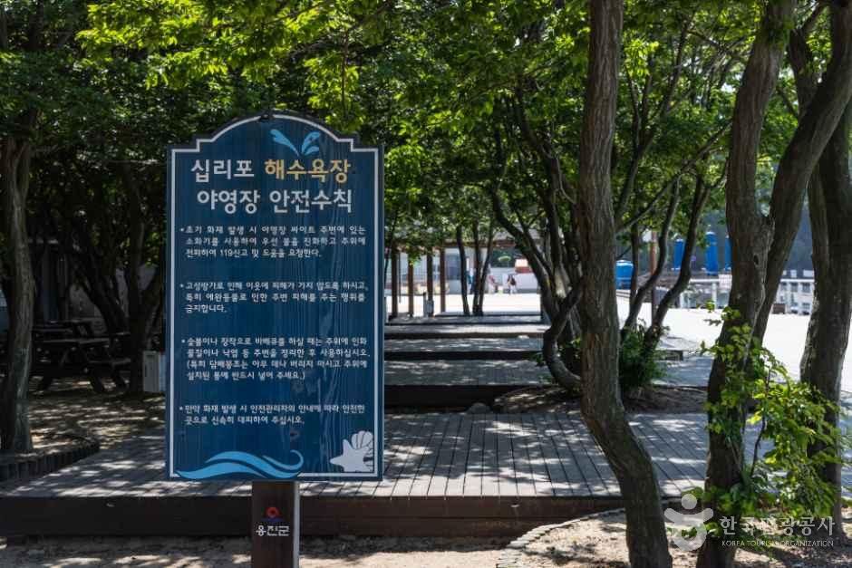 십리포해수욕장야영장 사진 3