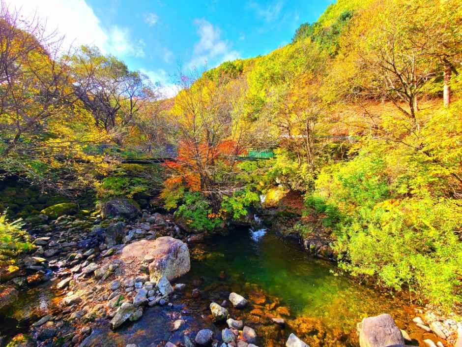 국립지리산자연휴양림