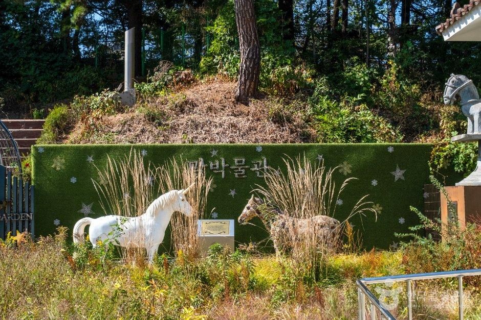 이번 주말 아이와 어디 갈까 경주·역사·놀이터 한 번에 잡는 과천 렛츠런파크_경기_과천_말박물관_3.jpg