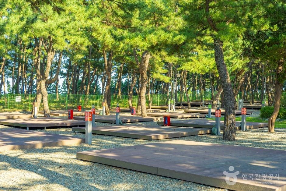 성북구 삼척수련원